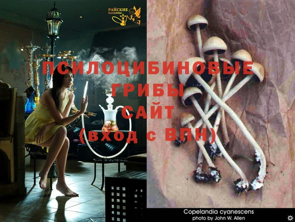 марки lsd Бородино